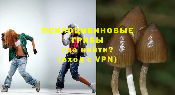 амф Белоозёрский